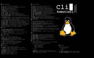 En çok kullanılan linux komutları ve açıklamaları