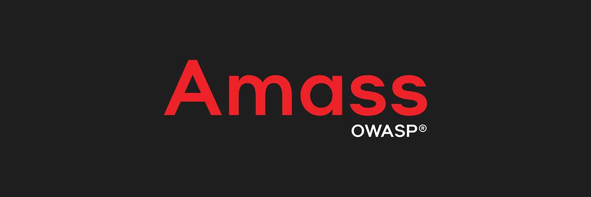 OWAST Amass domain istihbarat aracı